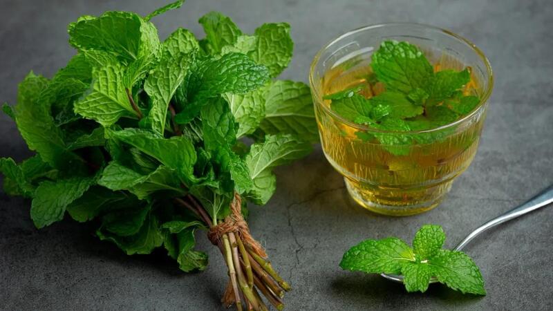 Mint leaves(pudina)