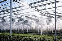 Fogging, Misting & Irrigation Maintenance & AMC Service