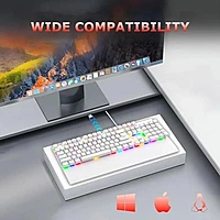 Ant Esports MK4100 RGB Mechanical Gaming Keyboard – Red Switches | USB | 1 Year Warranty