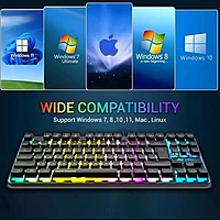 Ant Esports MK720 Pro V2 TKL – RGB Wireless Gaming Keyboard | 1 Year Warranty
