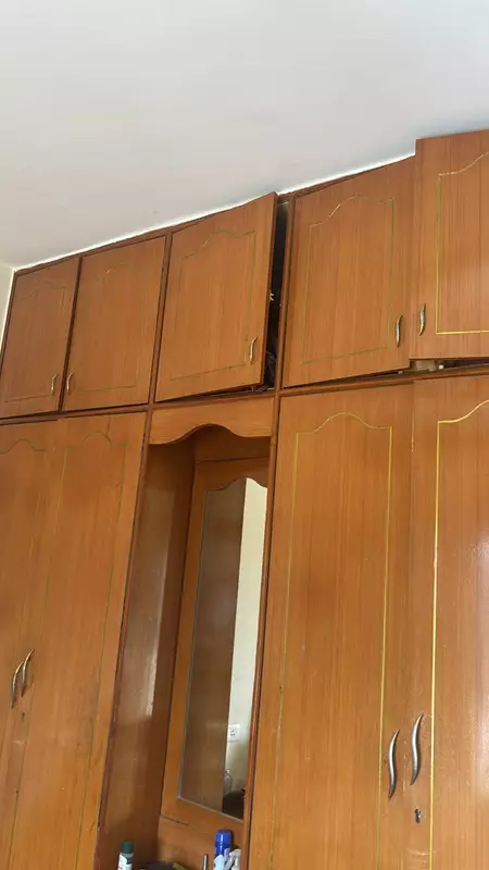 Alexandria's Safe Haven Koramangala Bangalore