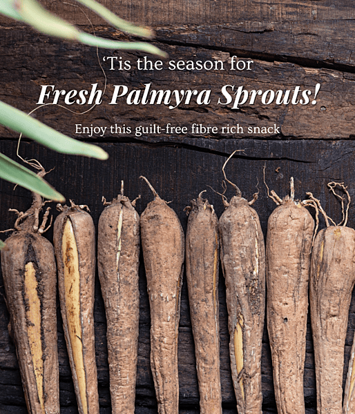 Palmyra Sprouts
