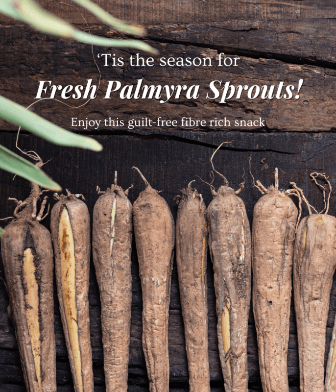 Palmyra Sprouts