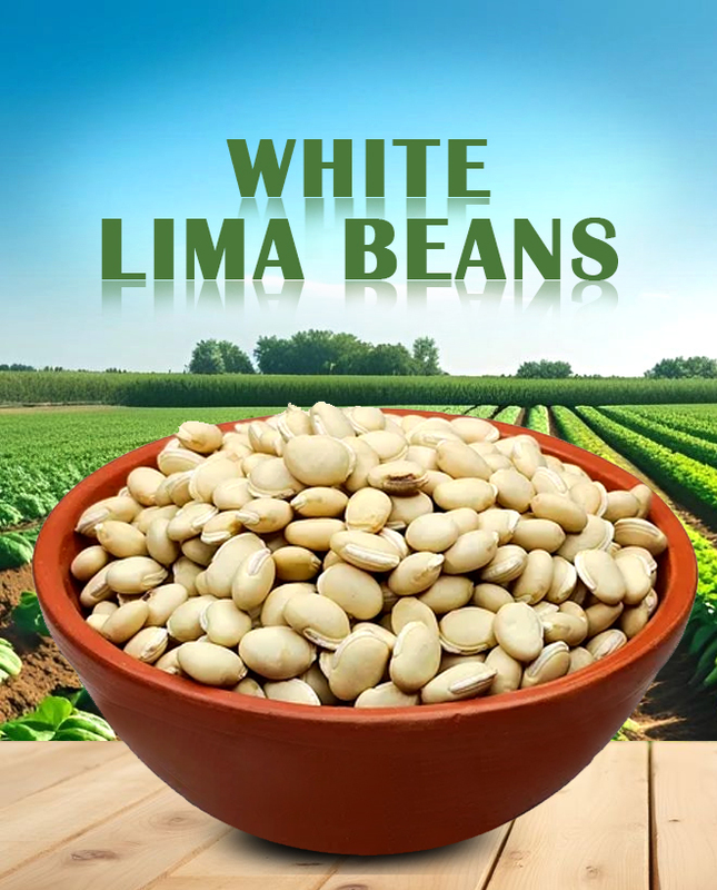 White Lima Beans - Vellai Mochai