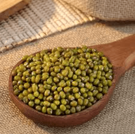 MOONG SABOOT