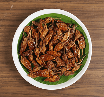 Mor Milagai ( Curd Chilly )