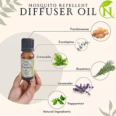 Natural & Herbal Mosquito Repellent Diffuser Oil – DEET-Free, Aromatic Protection for Indoor Spaces