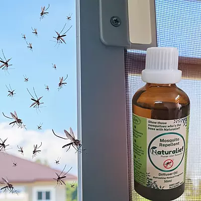 Natural & Herbal Mosquito Repellent Diffuser Oil – DEET-Free, Aromatic Protection for Indoor Spaces