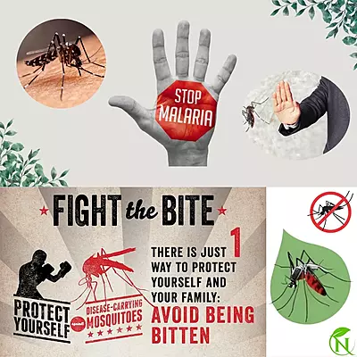 Natural & Herbal Mosquito Repellent Diffuser Oil – DEET-Free, Aromatic Protection for Indoor Spaces