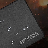 Ant Esports MP290 Gaming Mouse Pad (Large) – 650×300mm | Smooth Surface | 1 Year Warranty