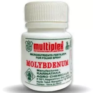 Multiplex Molybdenum: Boost Nitrogen Fixation & Crop Yield Fast