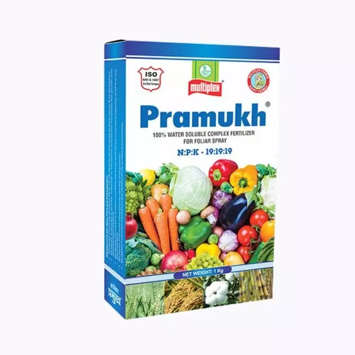 Multiplex Pramukh 19:19:19 – Water Soluble NPK Fertilizer for All Crops