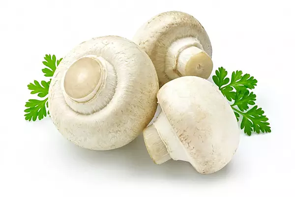 Mushroom காளான்