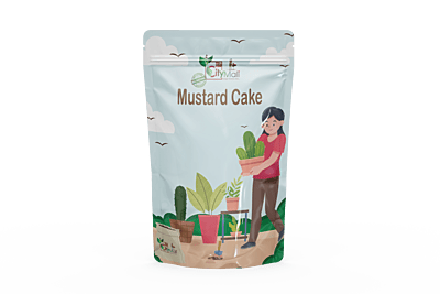 Mustard Cake