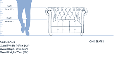Vikinterio Samode Single Seater Sofa