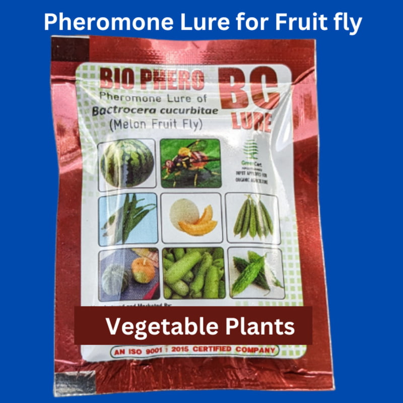 Pheromone Lure for Fruit Fly