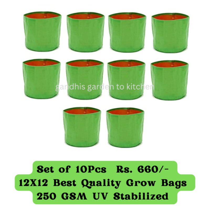 Set of 10Pcs 12X12 Best Quality Grow Bags 250 GSM UV Stabilized offer