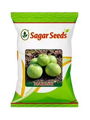 Naresh F-1 Hybrid Tinda by Sagar Seeds