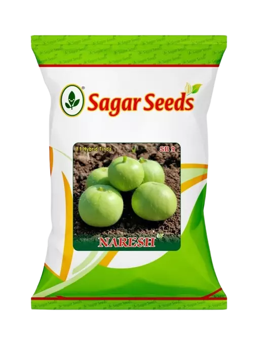 Naresh F-1 Hybrid Tinda by Sagar Seeds