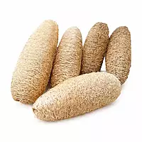 Natural loofah dry flowers in bulk for vase decor, eco-friendly styling and craft use by leafndeor