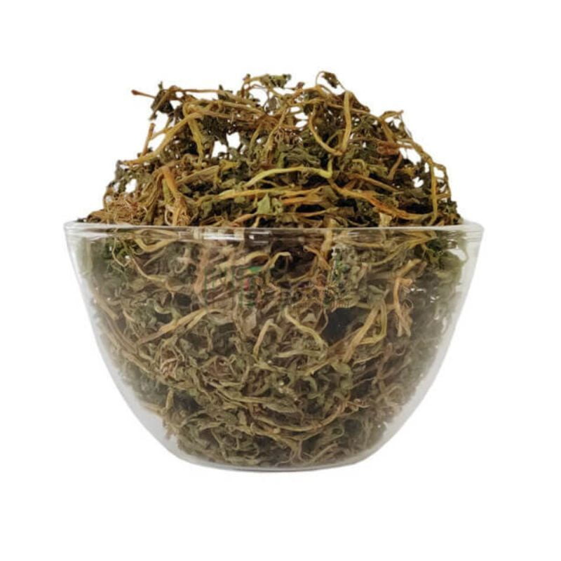 Neer Pirammi / Brahmi Ver/ Water Hyssop Dried Neer Pirammi / Brahmi Ver/ Water Hyssop Dried