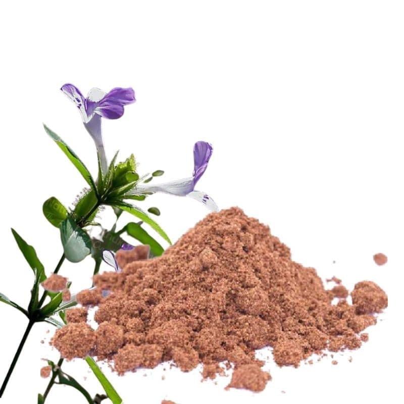 Neermulli Seed / Marsh Barbel Powder