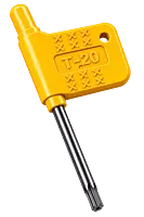 T20