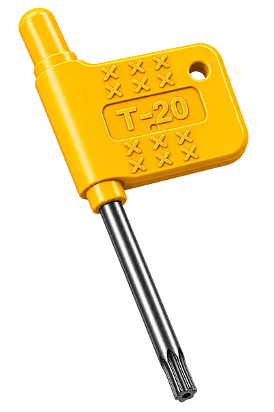 T20