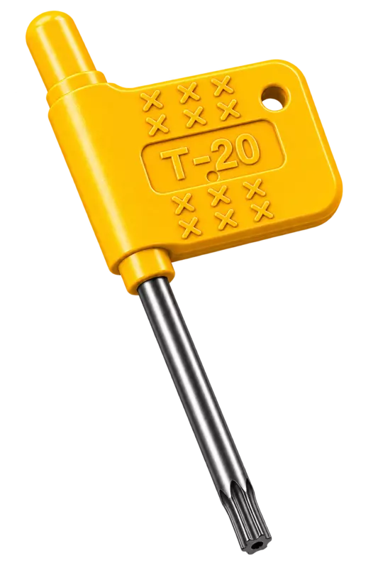 T20
