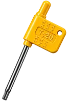 T20