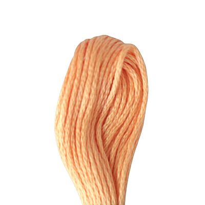 Anchor Embroidery Thread 336 Anchor Embroidery Thread 336