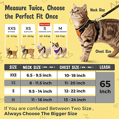 Cat NO-PULL with Leash Harness (Mesh)-gray-S Cat NO-PULL with Leash Harness (Mesh)-gray-S