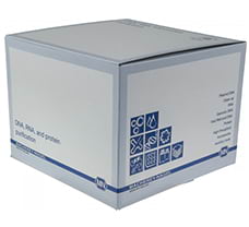 NucleoSpin RNA Plant and Fungi (50) MACHEREY-NAGEL