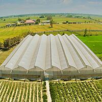 Polyhouse Foundation & Column Footing Works