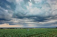 Rainfall Insurance Coverage