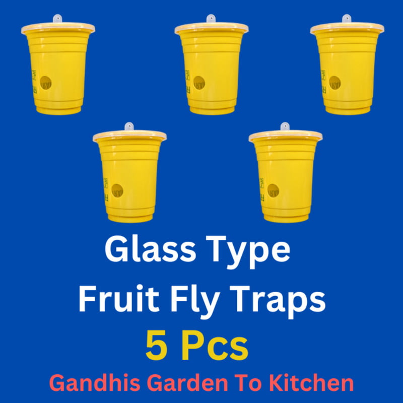 5pc Glass Type fruit Fly Trap | పండు ఈగ బుట్టలు