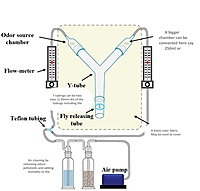 Y-tube for Entomology LI-IR-201