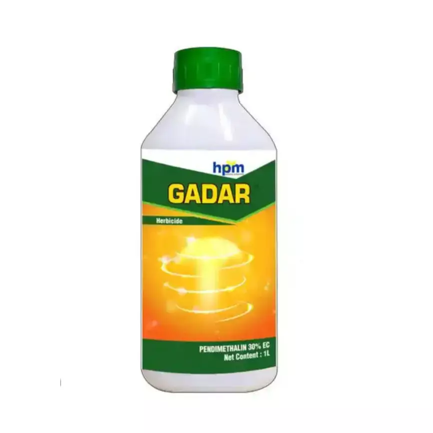 Gadar -(HPM)