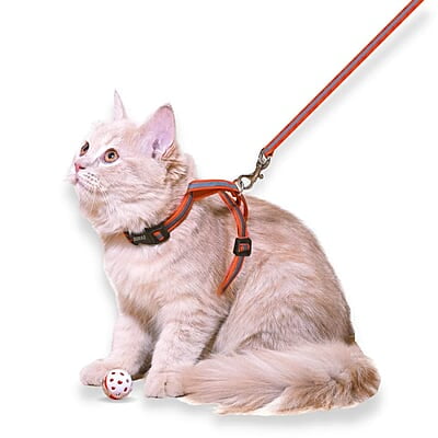 Reflective Cat Harness with Leash Set Reflective Cat Harness with Leash Set