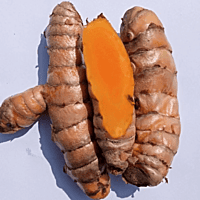 Ghargutee - Lakadong Turmeric Finger 20kg Pack