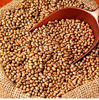 Premium Moth Beans- ಮಡಿಕೆ ಕಾಳು