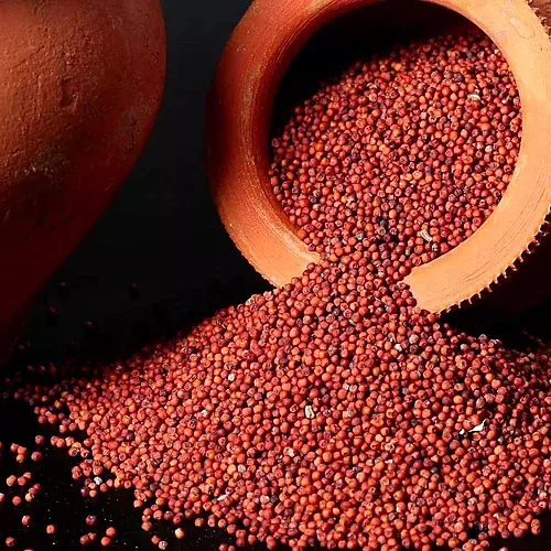 Ragi/ Finger Millet