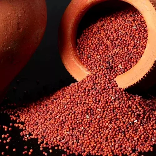 Ragi/ Finger Millet