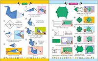 Origami-paper Folding -3