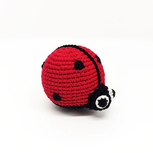 Ladybird Rattle