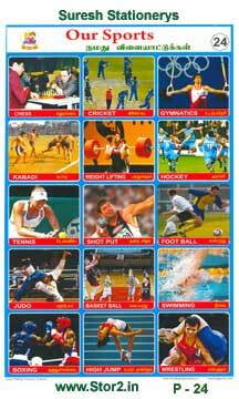 Sports - Educational Picture ChartNo - 24