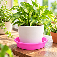 4 Inch Plastic Plant Tray | ECSHA