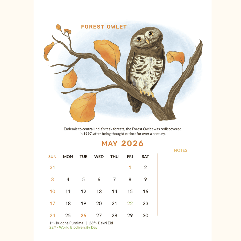 Nowhere Else on Earth 2026 Desk Calendar (Indian Endemic Species)