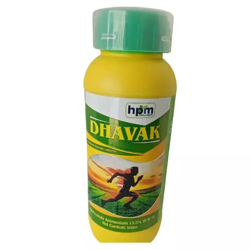 Dhavak -(HPM)