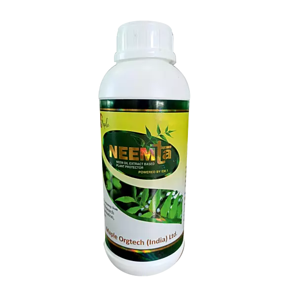 Neemta